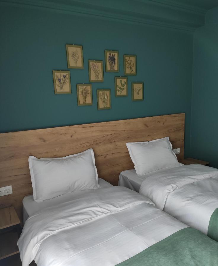 Northgate Hotel Kazbegi エクステリア 写真